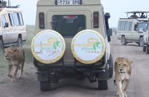 5-Day Luxury Fly-In Serengeti & Ngorongoro Safari from Zanzibar
