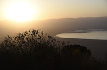 5-Day Luxury Fly-In Serengeti & Ngorongoro Safari from Zanzibar
