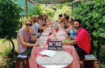 Guided E-Bike Tour with Wine Tasting from Lucca