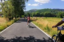 Guided E-Bike Tour with Wine Tasting from Lucca