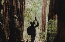 San Francisco, Golden Gate, Sausalito and Muir Woods Private Tour