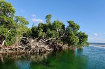 Florida Keys Backcountry Eco Tour from Big Pine Key