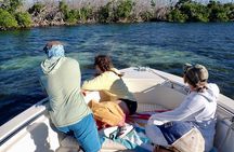 Florida Keys Backcountry Eco Tour from Big Pine Key
