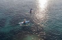 Lokrum Paddleboarding & Snorkeling Adventure; Caves and more
