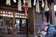 Private Akihabara Historical and Cultural Exploration