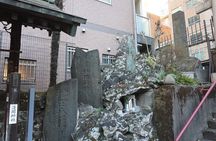 Private Akihabara Historical and Cultural Exploration