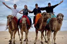 3 Days Tour to Tangier,Chefchaouen, Tetouan in Morocco