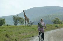 Day tour to Hells Gate, Lake Naivasha and Crescent Island Walk