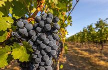 Victoria Full Day Guided Wine Tour With 4 Wineries