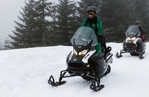 Scenic Snowmobile Tour in Whistler