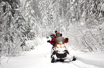 Scenic Snowmobile Tour in Whistler