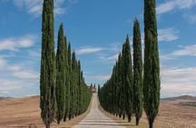 From Rome: Private Day-Tour of Tuscany