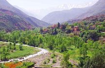 Private Full Day Tour in Ourika Valley