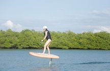 Cartagena Efoil FliteBoard Experience in Baru 1H