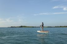 30 Minutes Cartagena Efoil FliteScooter Experience in Baru