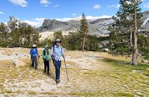 Yosemite: High Country Explorer - Private Hiking Tour