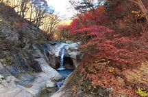 Mt. Seorak+Nami Island+Garden of Morning Calm Day Trip from Seoul
