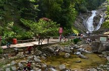 Cameron Highland Private Full Day Tour from Kuala Lumpur