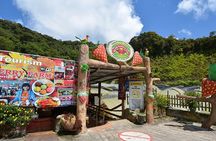 Cameron Highland Private Full Day Tour from Kuala Lumpur