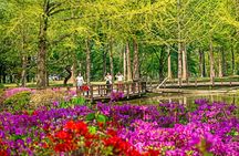Full Day Private Tour Nami Island, Garden & Petite France