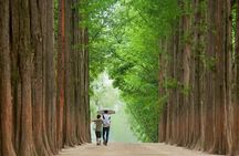 Full Day Private Tour Nami Island, Garden & Petite France
