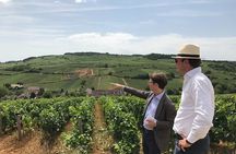 Full day from Beaune: the most of Burgundy, with lunch