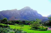 Private Constantia Winelands and Kirstenbosch Luxury Guided Tour