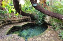 Private Constantia Winelands and Kirstenbosch Luxury Guided Tour