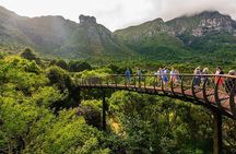 Private Constantia Winelands and Kirstenbosch Luxury Guided Tour