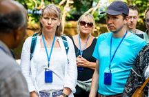 Dublin Highlights and Hidden Gems Walking Tour With A Guide