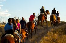Horseback Riding with traditional Asado and Wine from Mendoza