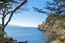 Guided Tour The Ring of Kerry, Skellig Ring and Valencia Island 