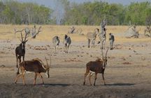 2-Day Safari trip to Hwange National Park from Victoria Falls