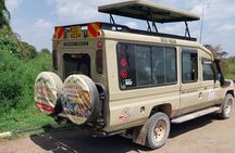 7 Days of Elephants, Rhinos & Big Five: The Best of Kenya Safari