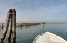 Chioggia : Tour to Pellestrina with Typical Lagoon Boat