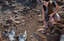 North Seymour Island Day Tour with Snorkeling