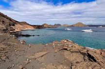 Bartolome Island Day Trip with Snorkeling from Puerto Ayora