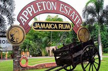 Private Black River and Appleton Rum Tour From Negril