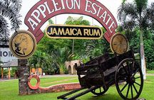Private Black River and Appleton Rum Tour From Negril