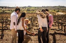 Sailing excursion Barcelona and visit to a winery in Alella