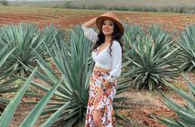 Mezcal Food Tasting Tour with Lunch Included 