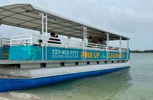 Fins Up - Dolphin & Island Sandbar Adventure in Clearwater Beach