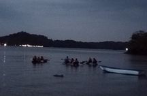 Paquera Bioluminescence Tour by Kayak