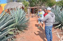 Mezcal Food Tasting Tour with Lunch Included