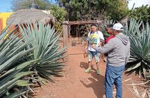 Mezcal Food Tasting Tour with Lunch Included