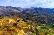3 Day Colca Canyon Trekking from Arequipa ending in Puno 