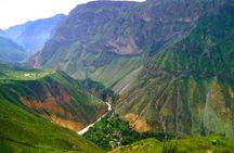 3 Day Colca Canyon Trekking from Arequipa ending in Puno 