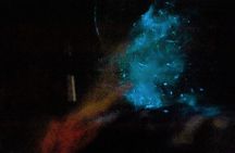 2-Hours Bioluminescence Tour by Kayak in Paquera