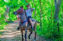Punta Cana Horseback Ride: Jungle, Macao Beach & Free Pick Up