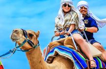 Camel Ride and UTV Combo Adventure, with Tequila Tasting